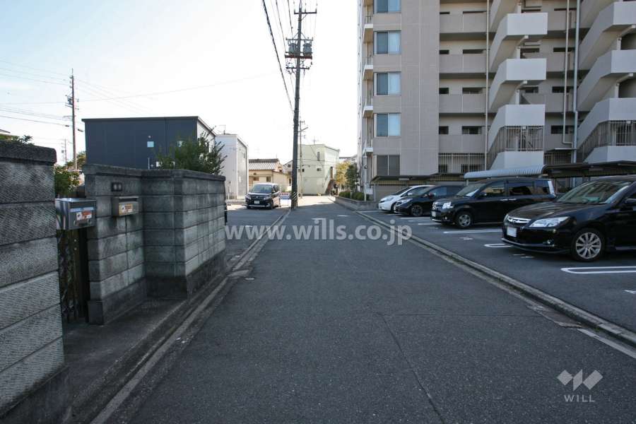 敷地東側の前面道路(北側から)