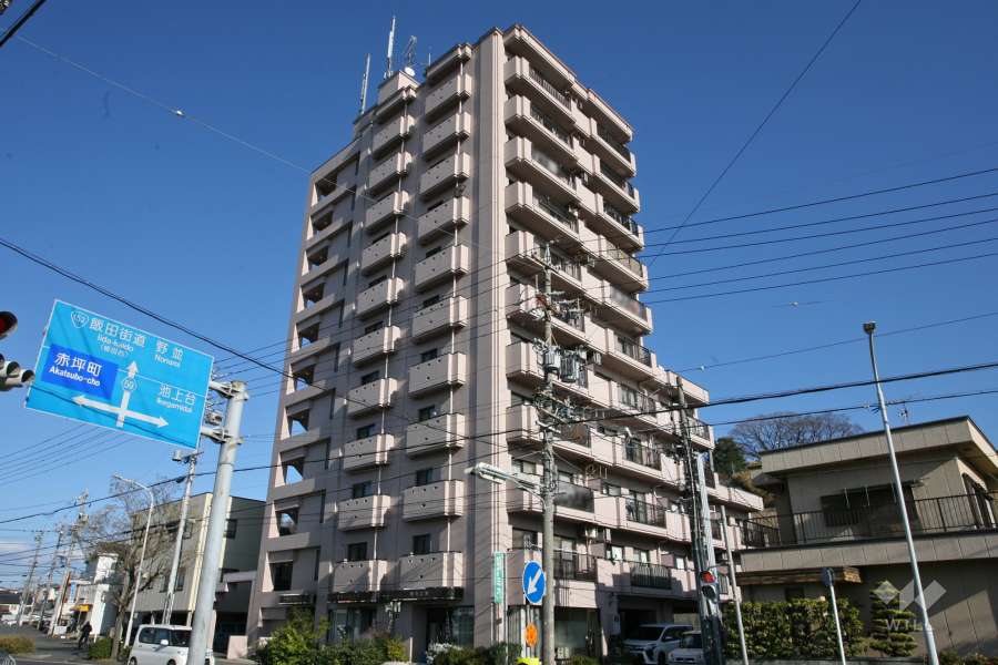 ラフォーレ三王山の外観(南西側から)