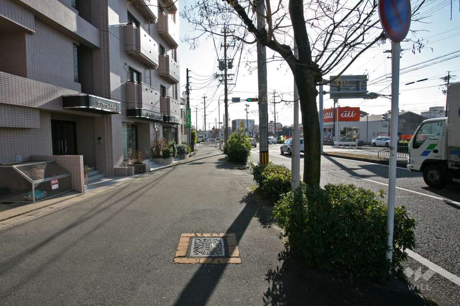 敷地西側の前面道路(県道59号線)