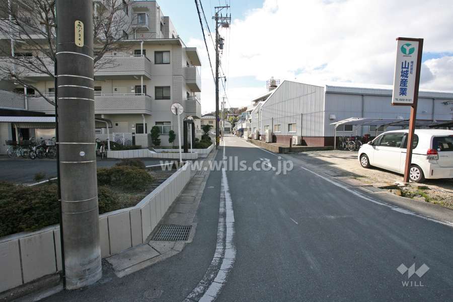 敷地西側の前面道路