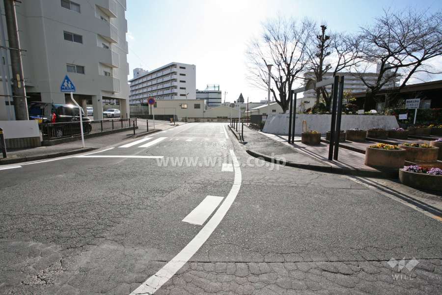 敷地南東側の前面道路(北東側から)