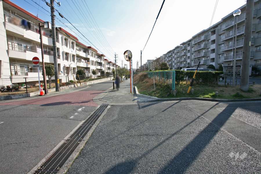 敷地北側の前面道路（西側から）