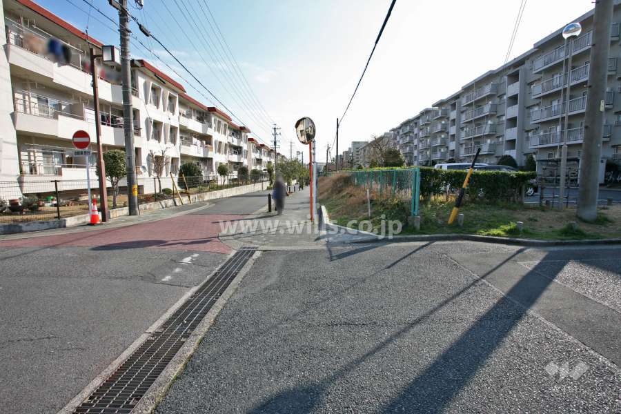 敷地北側の前面道路（西側から）