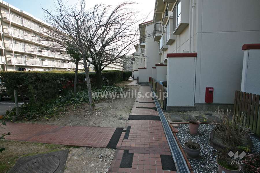 敷地北側の通路