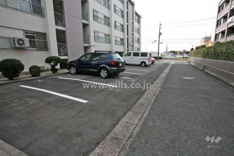 敷地内駐車場（屋外平面式）