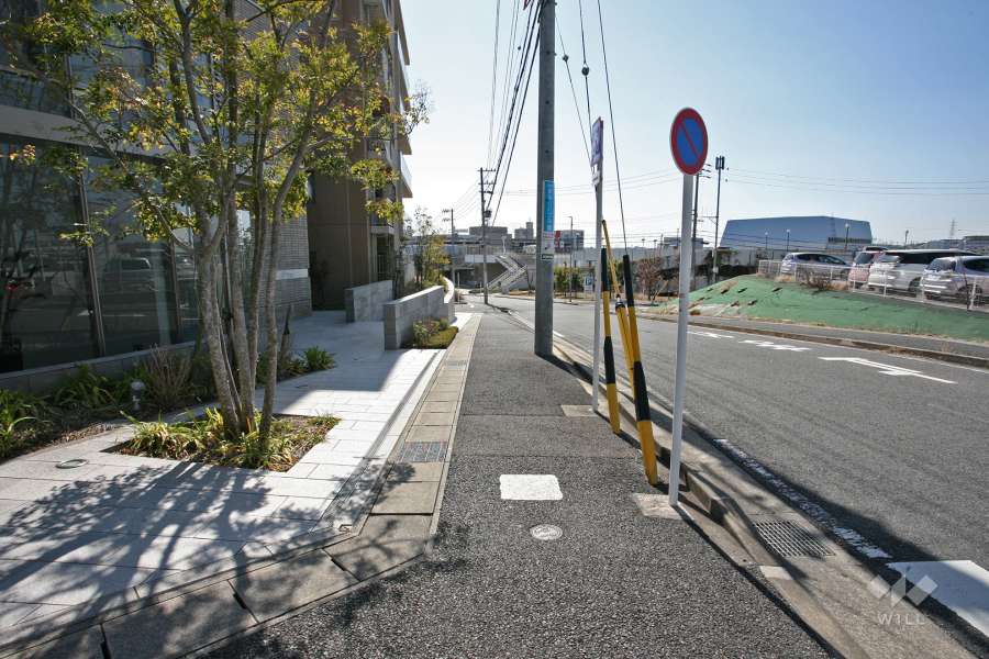 敷地西側の前面道路（北側から）