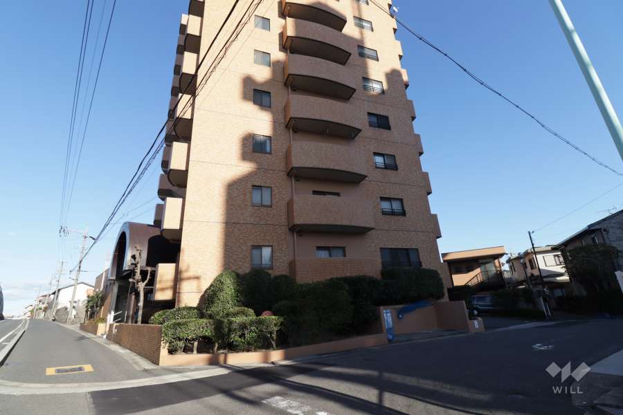 敷地北西側の前面道路（南西側から）