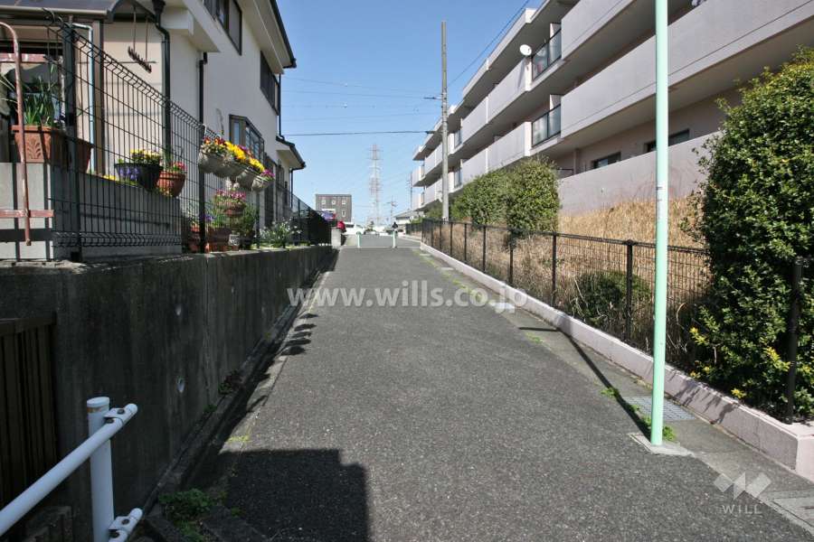敷地西側の前面道路(北側から)
