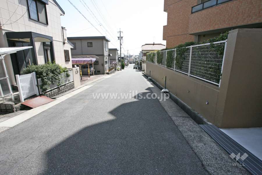 敷地東側の前面道路