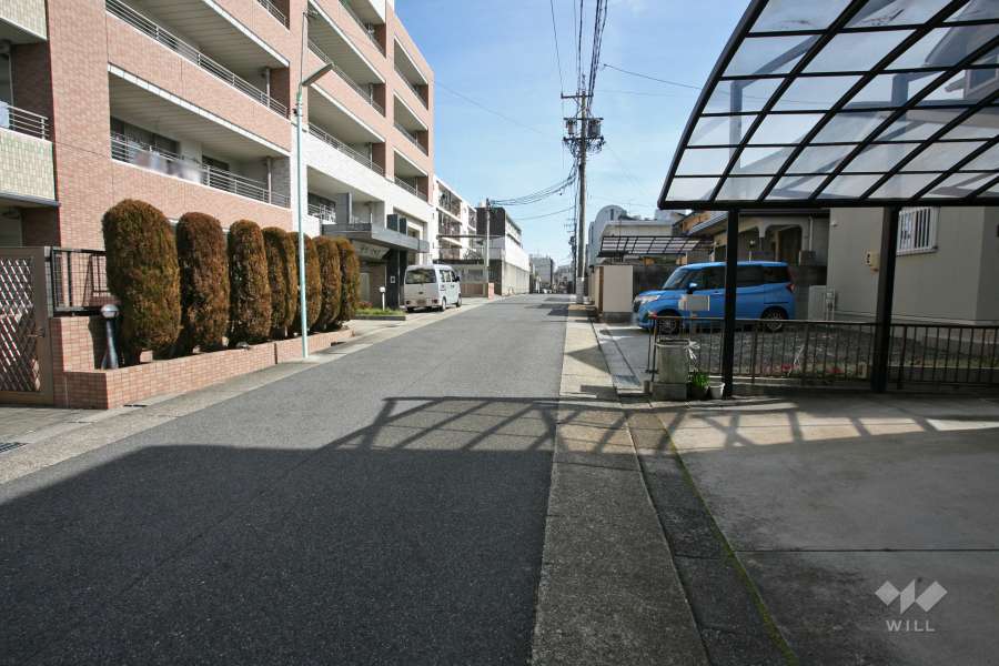 敷地南側の前面道路（西側から）