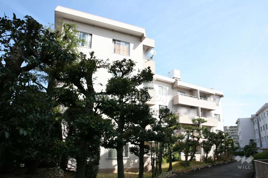 鳴子ハイツ北棟の外観（南東側から）