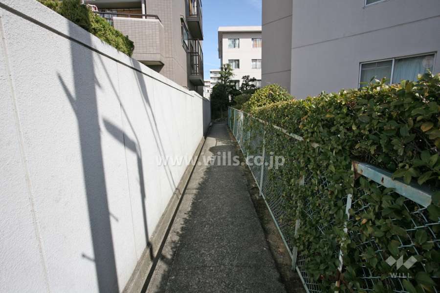 敷地西側の通路（南側から）