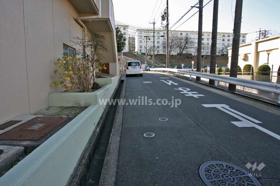 敷地西側の前面道路(北側から)