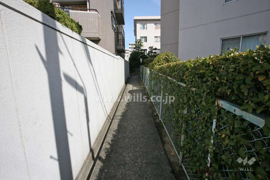 敷地西側の通路（南側から）