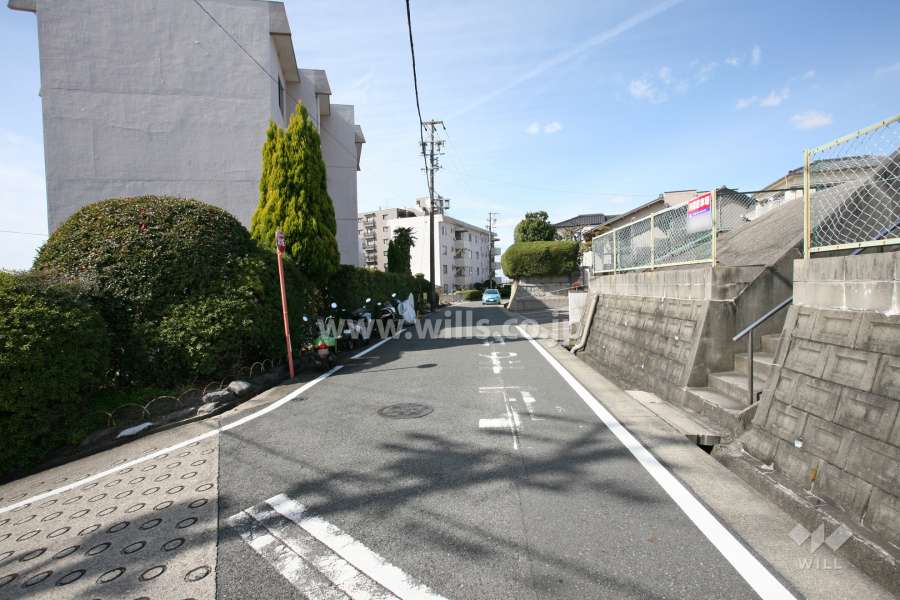 敷地北側の前面道路（東側から）