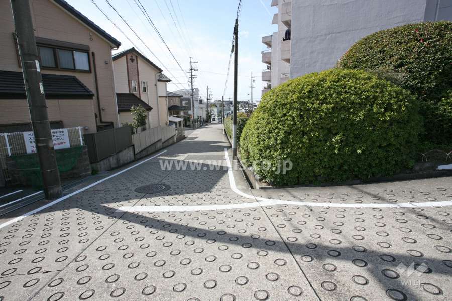 敷地東側の前面道路（北側から）