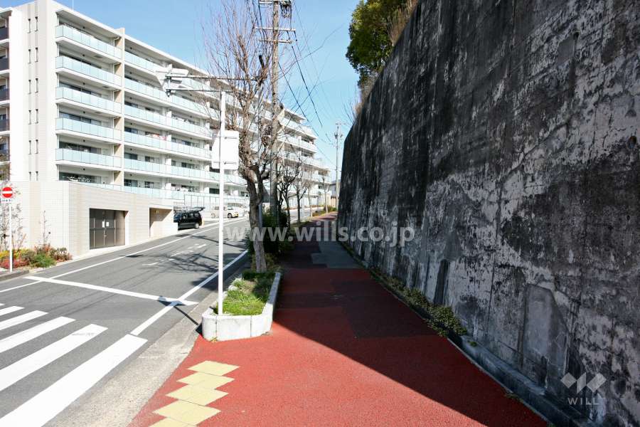 敷地南側の前面道路（東側から）