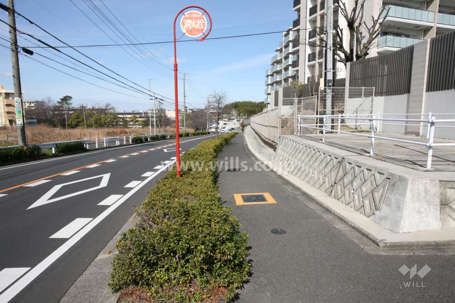 敷地南西側の前面道路（南東側から）