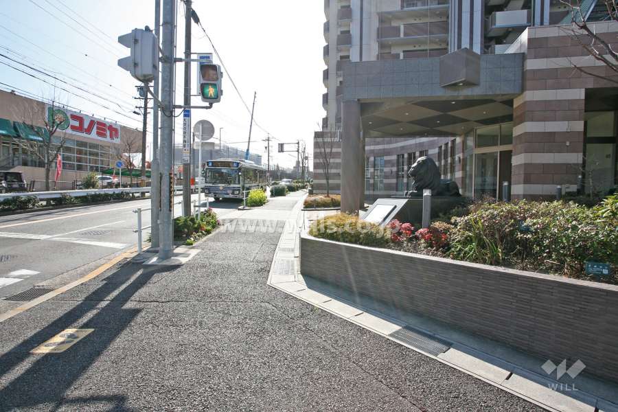 敷地東側の前面道路