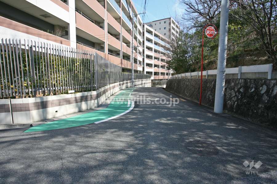 敷地南側の前面道路