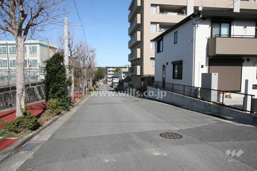 敷地西側の前面道路（南側から）