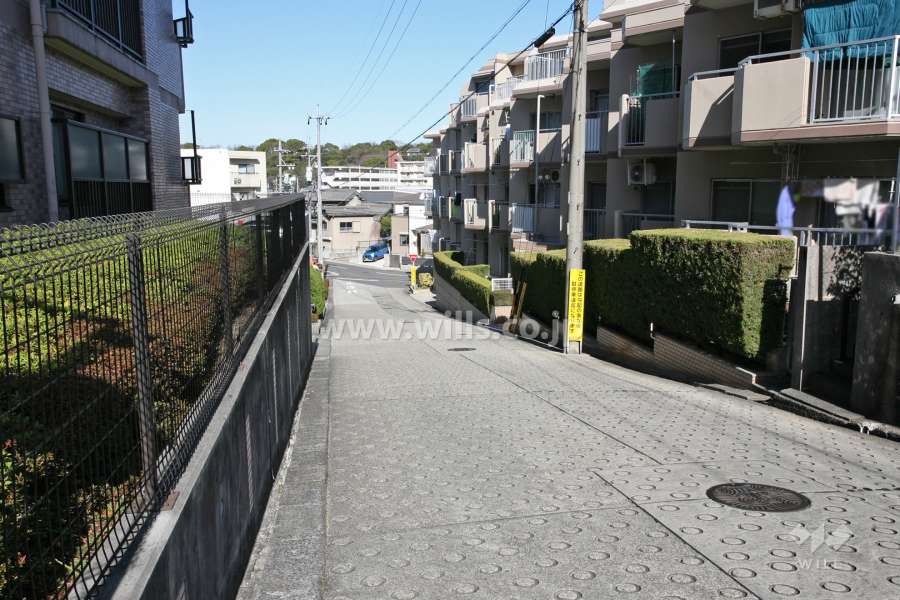 敷地南西側の前面道路（南側から）