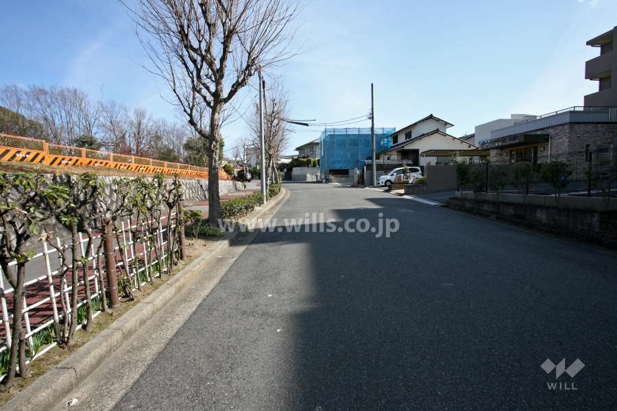 敷地北側の前面道路（西側から）