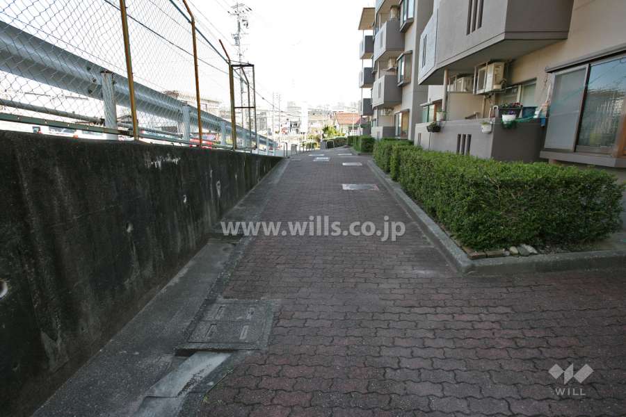 敷地内通路
