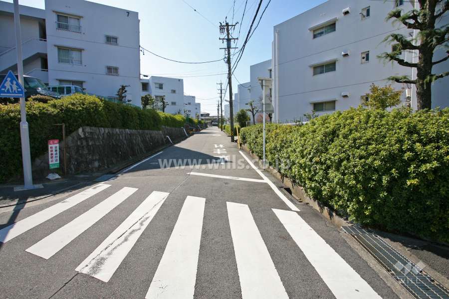 敷地東側の前面道路