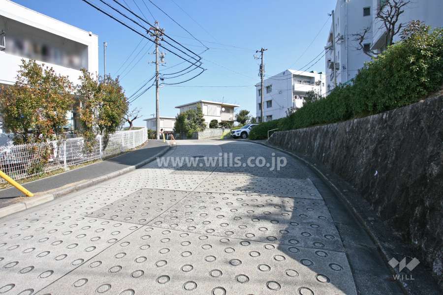 敷地南側の前面道路