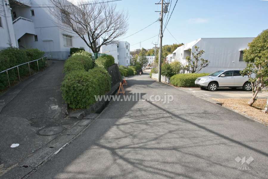 敷地北側の前面道路