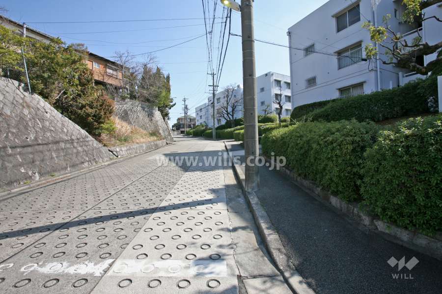 敷地北東側の前面道路(北西側から)
