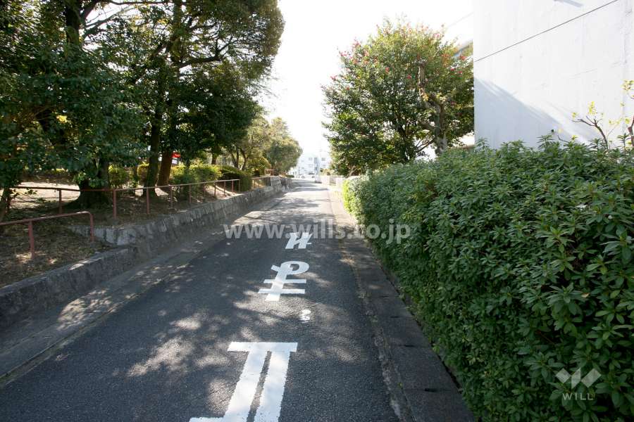 敷地東側の前面道路