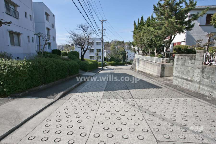 敷地北側の前面道路(東側から)
