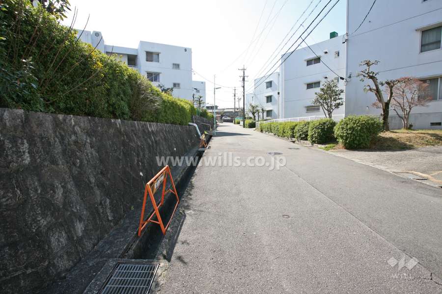 敷地西側の前面道路