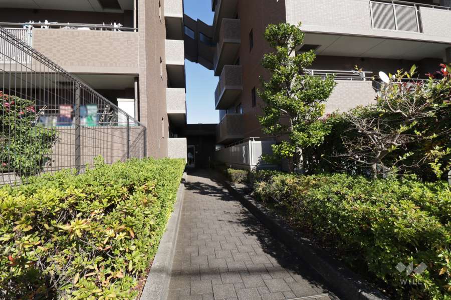 敷地内の通路