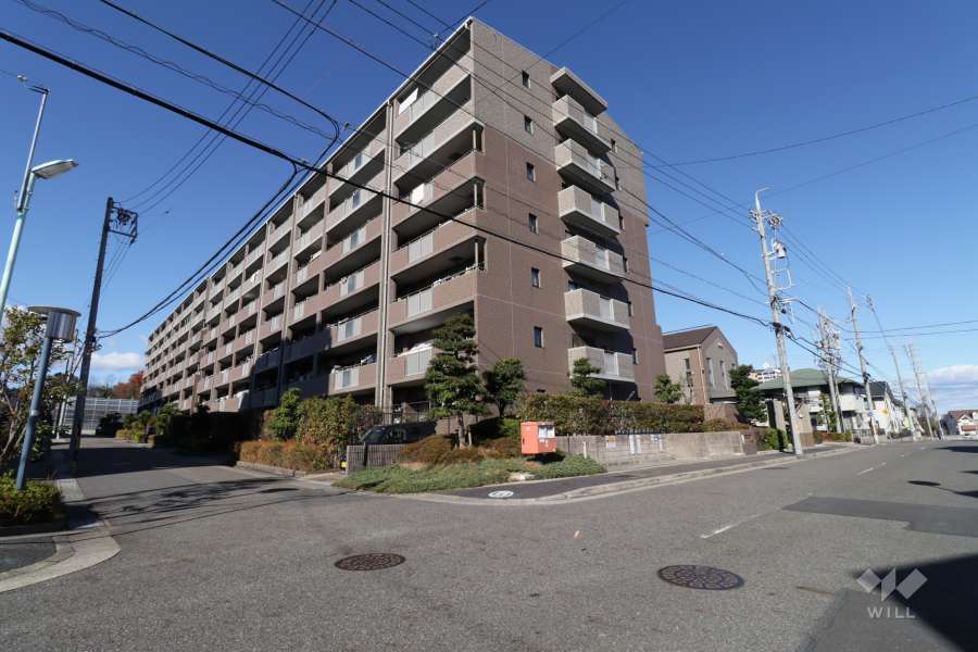 敷地南側と東側の前面道路（北西側から）