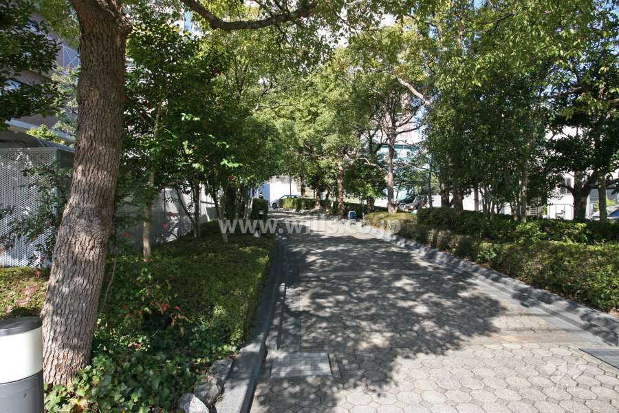 敷地内通路