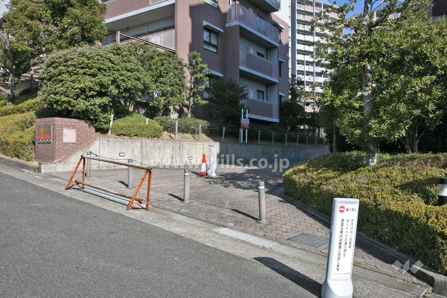 敷地入り口(南側)