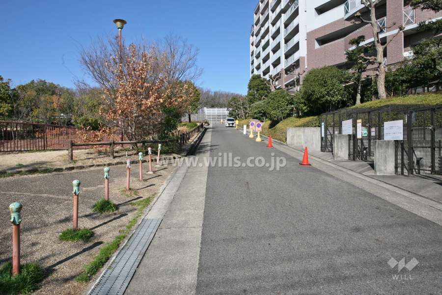 敷地南側の前面道路(東側から)