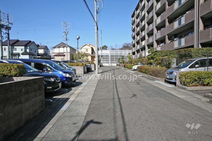 敷地北側の前面道路