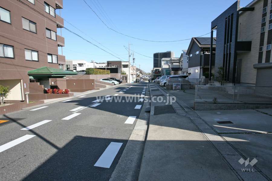 敷地東側の前面道路（南側から）