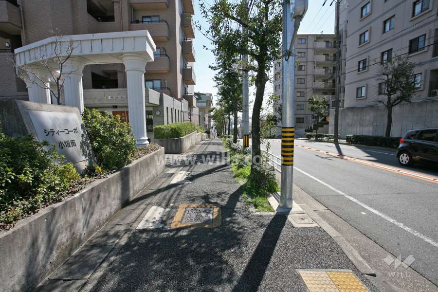 敷地西側の前面道路