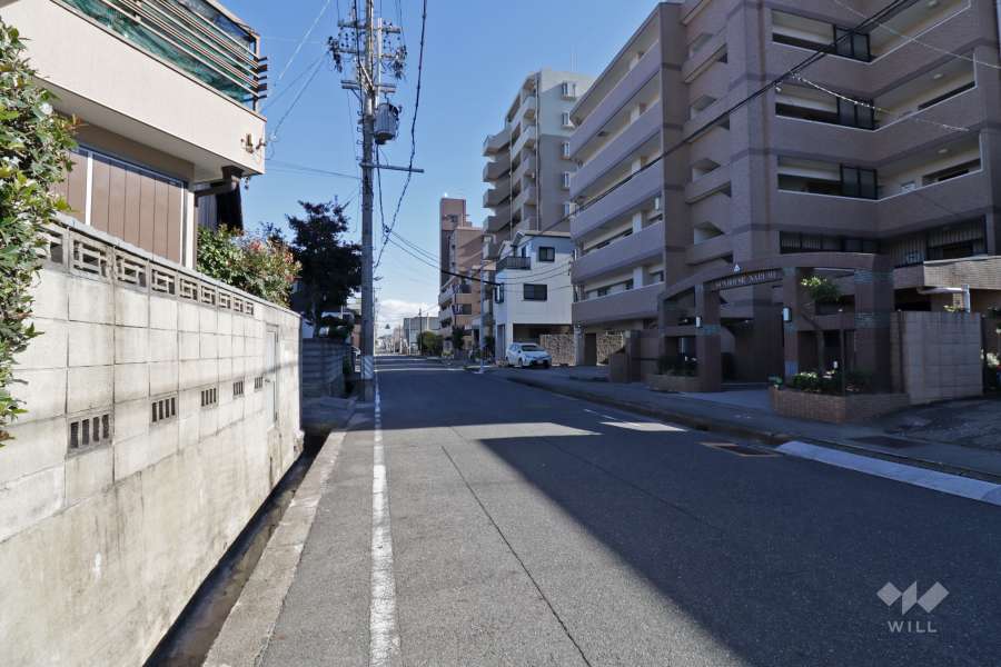 敷地北側の前面道路（西側から）