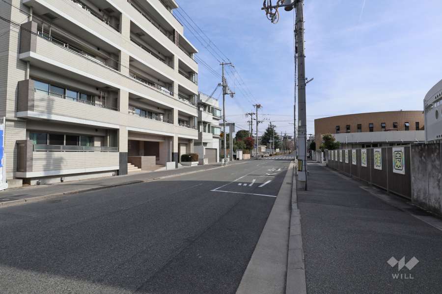 敷地南側の前面道路（南西側から）