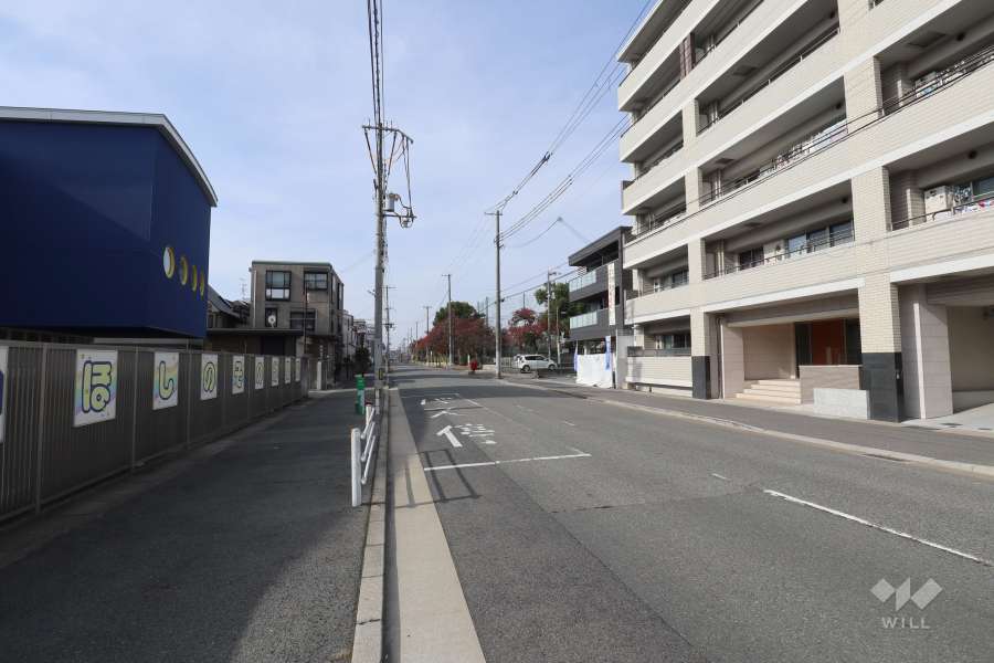 敷地南側の前面道路（南東側から）