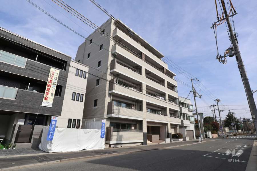 エヌヴィ住吉パークサイドの遠景（南西側から）