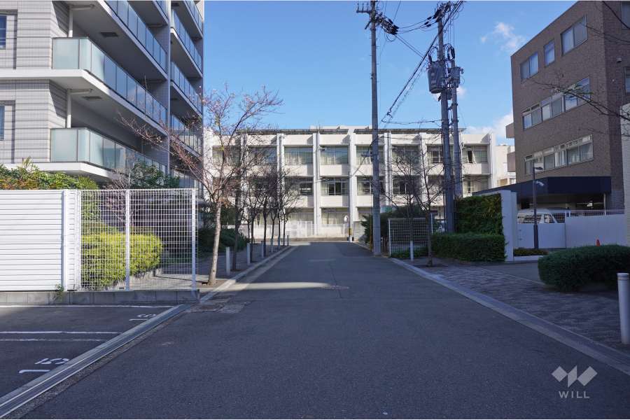 敷地南側の前面道路(西側から)