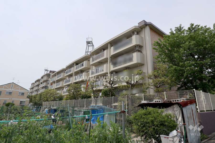 幸心東住宅2号棟の外観（北東側から）