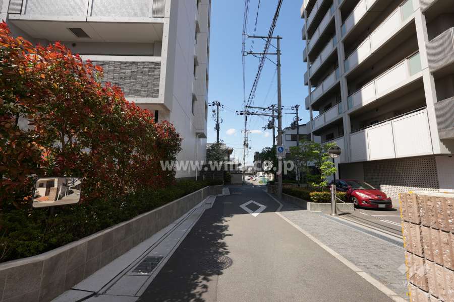 敷地東側の前面道路